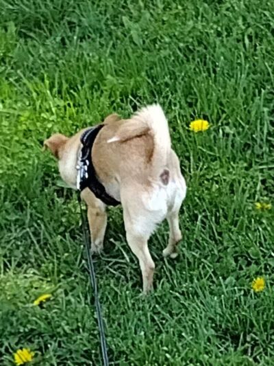 Jacot Park - Middletown, OH