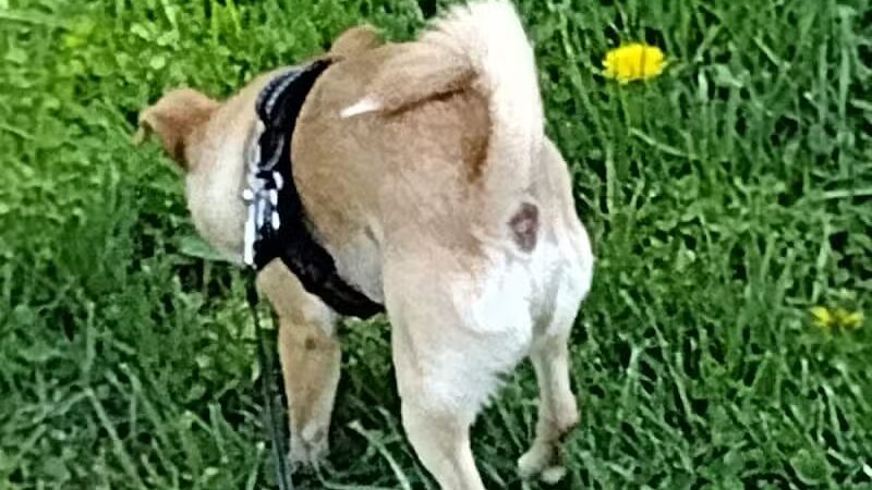 Jacot Park - Middletown, OH