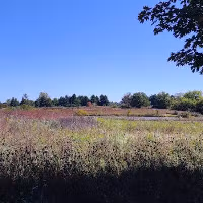 Meadow Ridge MetroPark - Middletown, OH