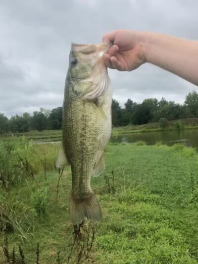 Meadow Ridge MetroPark - Middletown, OH
