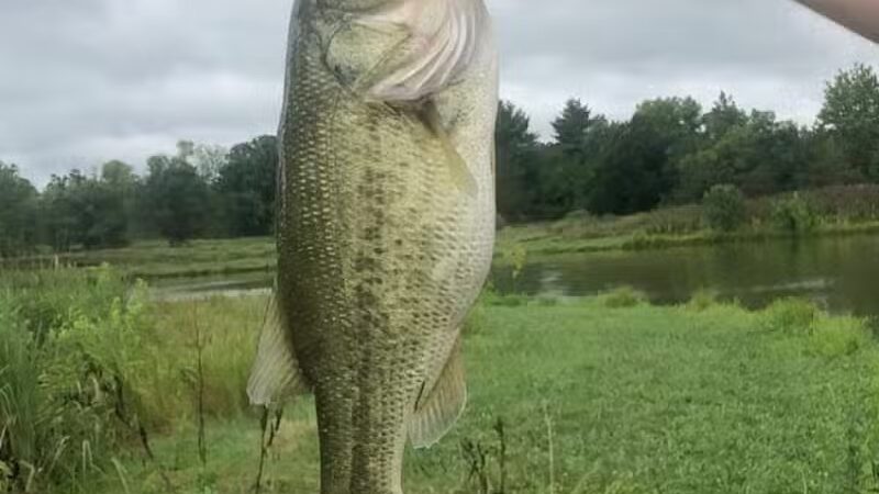 Meadow Ridge MetroPark - Middletown, OH