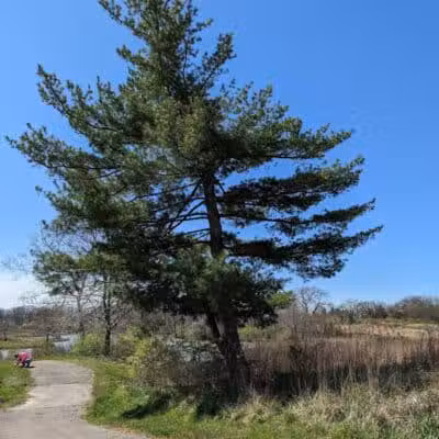 Meadow Ridge MetroPark - Middletown, OH