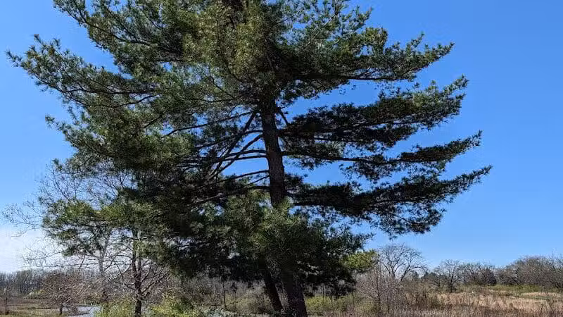 Meadow Ridge MetroPark - Middletown, OH