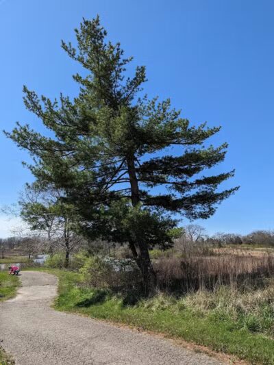 Meadow Ridge MetroPark - Middletown, OH