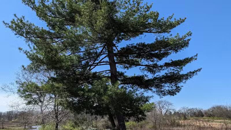 Meadow Ridge MetroPark - Middletown, OH