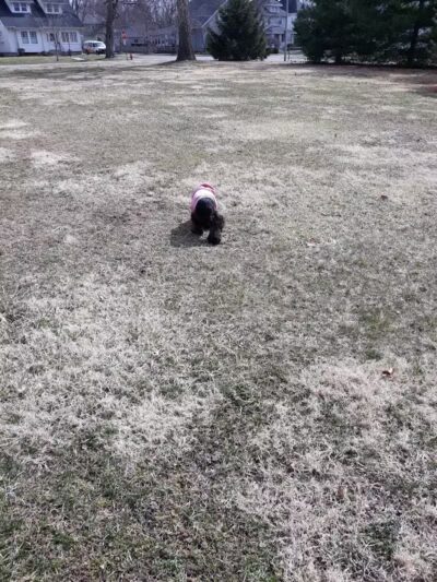 Miami Park - Middletown, OH