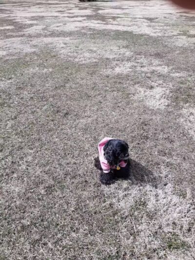 Miami Park - Middletown, OH