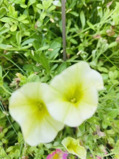 Miami Park - Middletown, OH