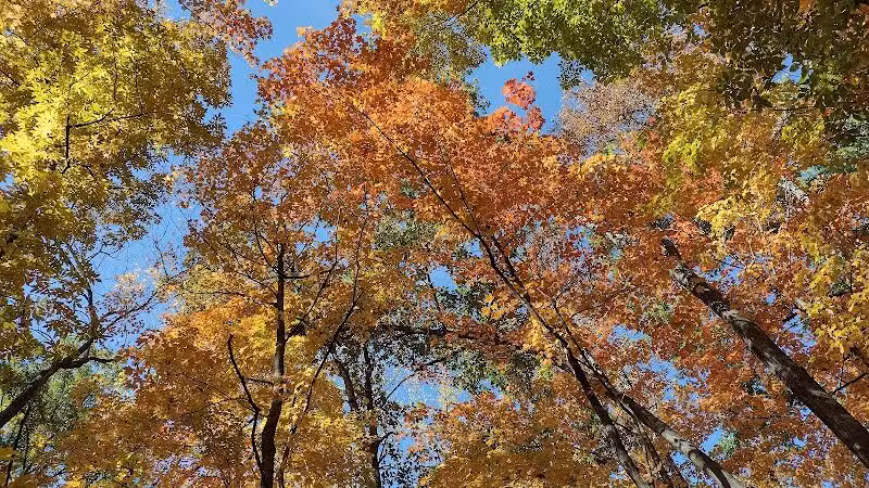 Miami University Nature Trail - Middletown, OH