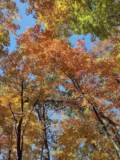 Miami University Nature Trail - Middletown, OH