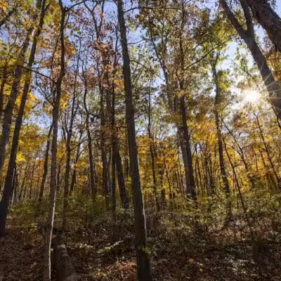 Miami University Nature Trail - Middletown, OH
