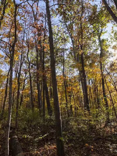 Miami University Nature Trail - Middletown, OH