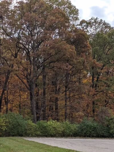 Miami University Nature Trail - Middletown, OH