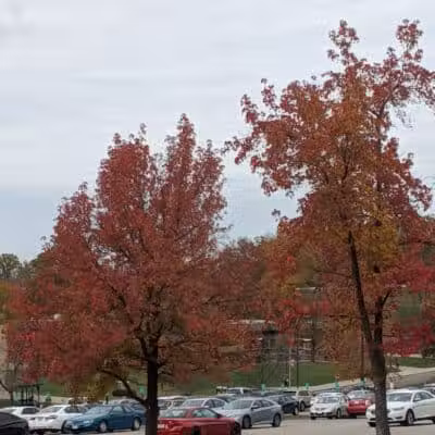 Miami University Nature Trail - Middletown, OH