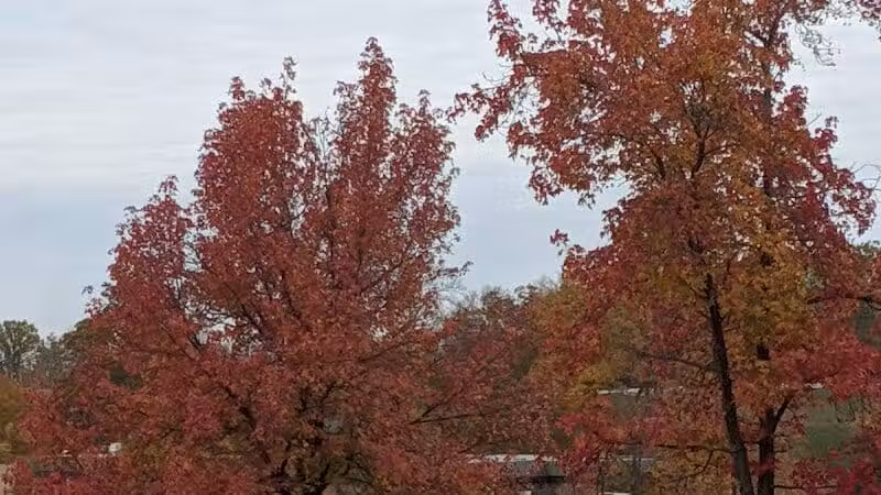 Miami University Nature Trail - Middletown, OH
