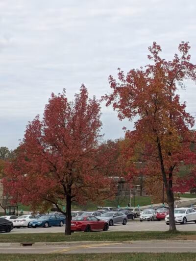 Miami University Nature Trail - Middletown, OH