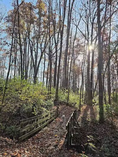 Miami University Nature Trail - Middletown, OH