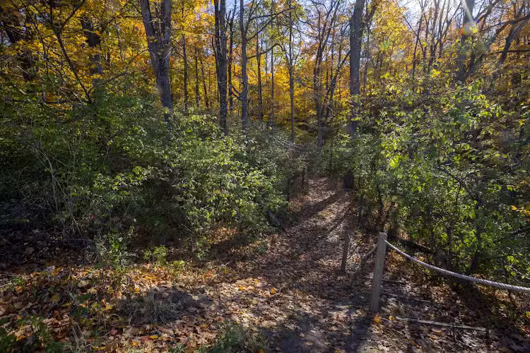 Miami University Nature Trail - Middletown, OH