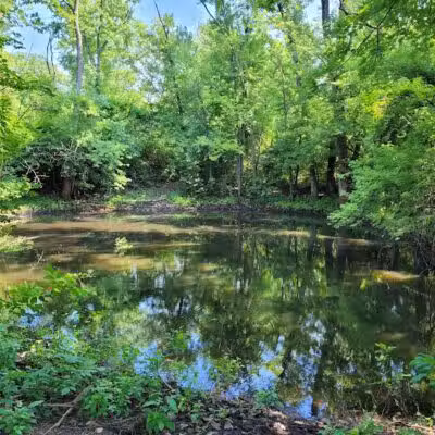 Rosemont Park Nature Reserve - Middletown, OH