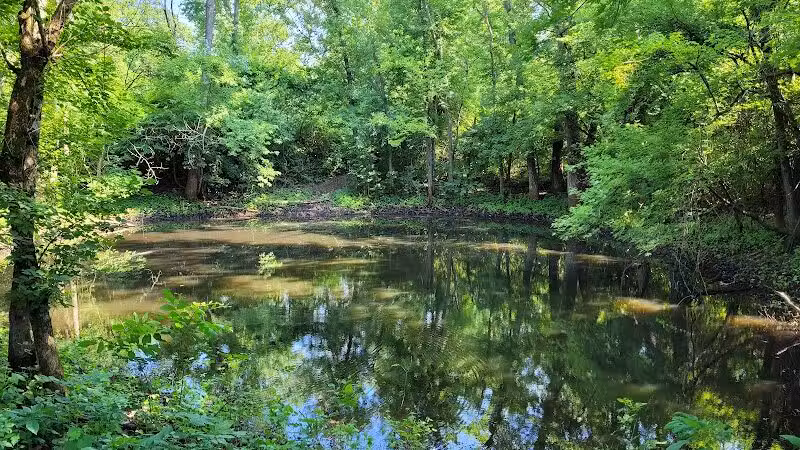Rosemont Park Nature Reserve - Middletown, OH