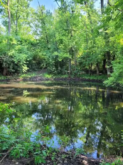 Rosemont Park Nature Reserve - Middletown, OH