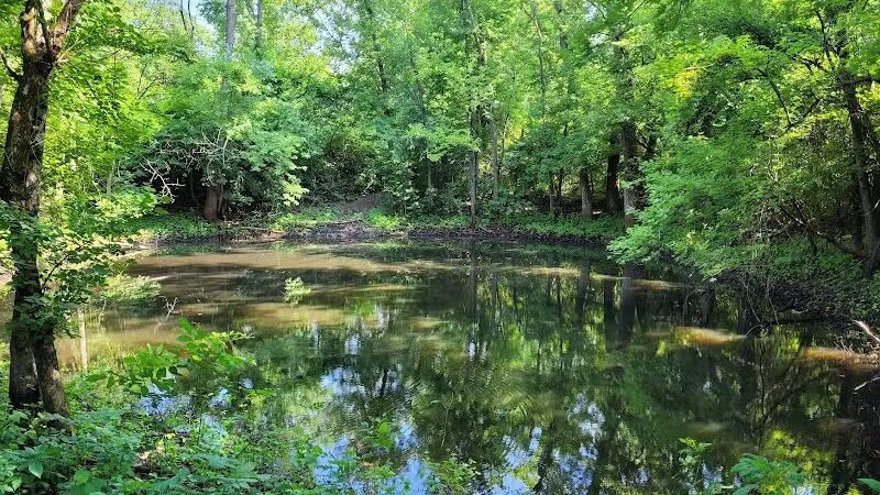 Rosemont Park Nature Reserve - Middletown, OH
