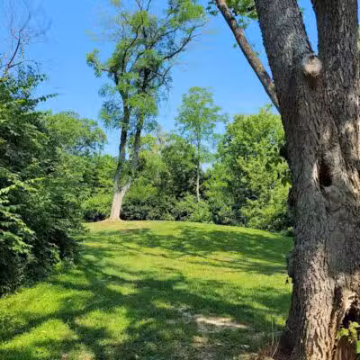 Rosemont Park Nature Reserve - Middletown, OH