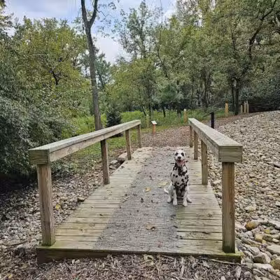 Rosemont Park Nature Reserve - Middletown, OH