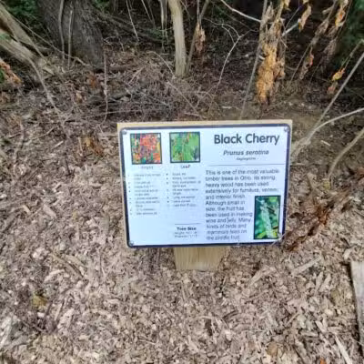 Rosemont Park Nature Reserve - Middletown, OH