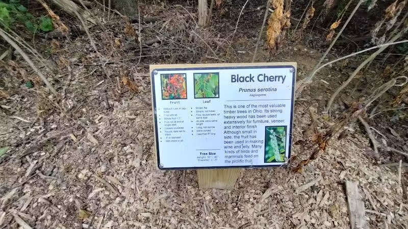 Rosemont Park Nature Reserve - Middletown, OH