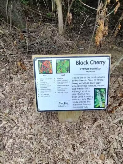 Rosemont Park Nature Reserve - Middletown, OH