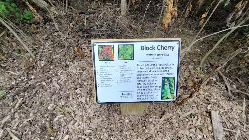Rosemont Park Nature Reserve - Middletown, OH