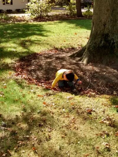 Edison Park - Milan, OH - Milan, OH