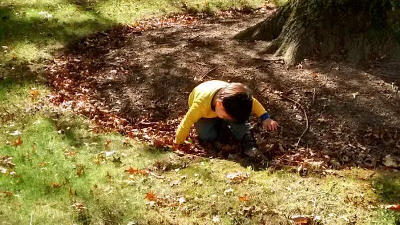 Edison Park - Milan, OH - Milan, OH