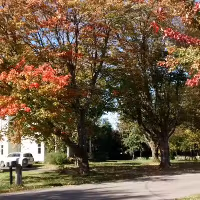 Edison Park - Milan, OH - Milan, OH