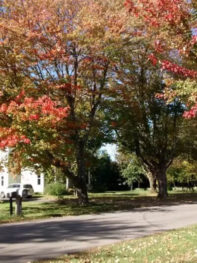 Edison Park - Milan, OH - Milan, OH