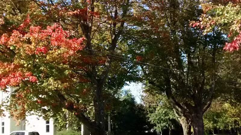 Edison Park - Milan, OH - Milan, OH