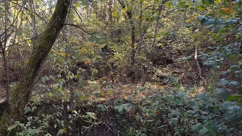 Milan Towpath MetroPark - Milan, OH