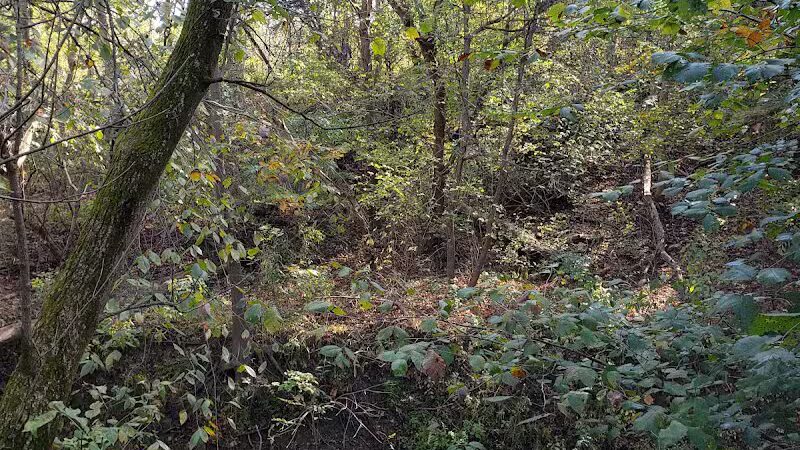 Milan Towpath MetroPark - Milan, OH