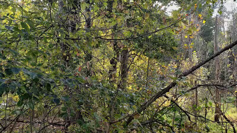 Milan Towpath MetroPark - Milan, OH
