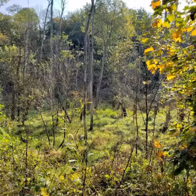 Milan Towpath MetroPark - Milan, OH