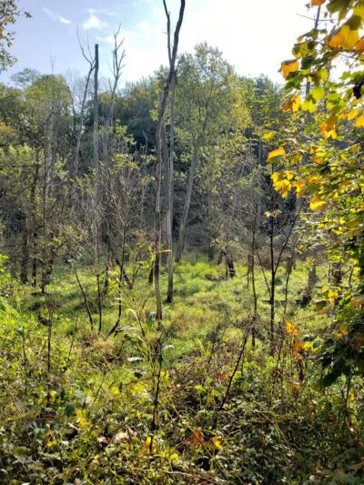 Milan Towpath MetroPark - Milan, OH