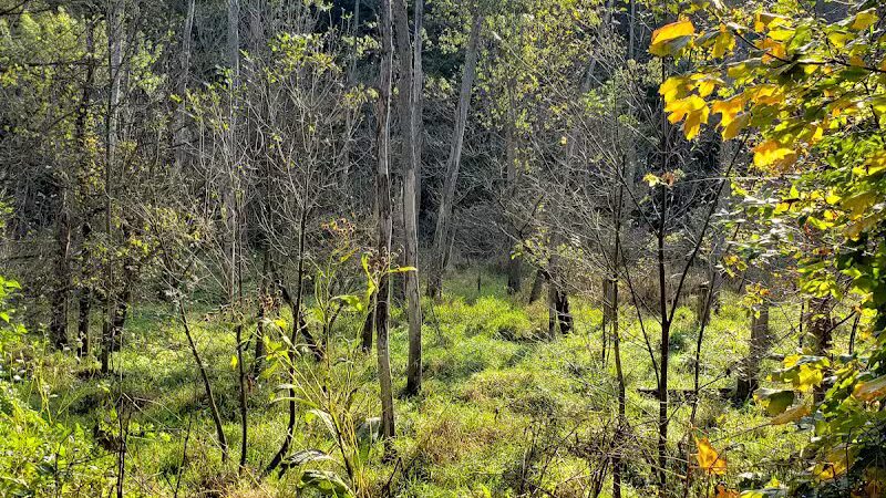 Milan Towpath MetroPark - Milan, OH
