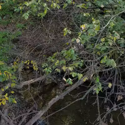 Milan Towpath MetroPark - Milan, OH