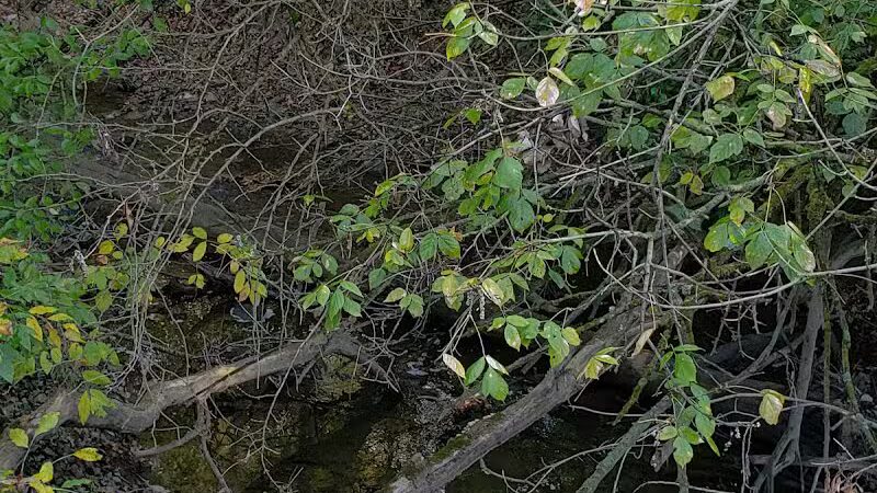 Milan Towpath MetroPark - Milan, OH