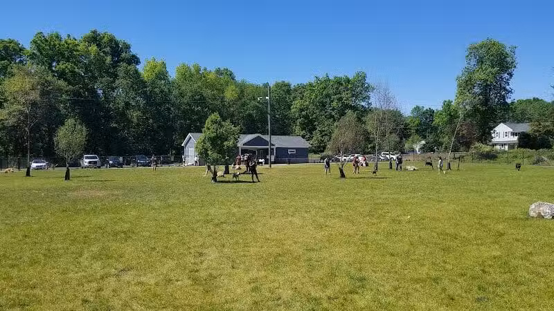 Eisenhower Dog Park - Milford, CT