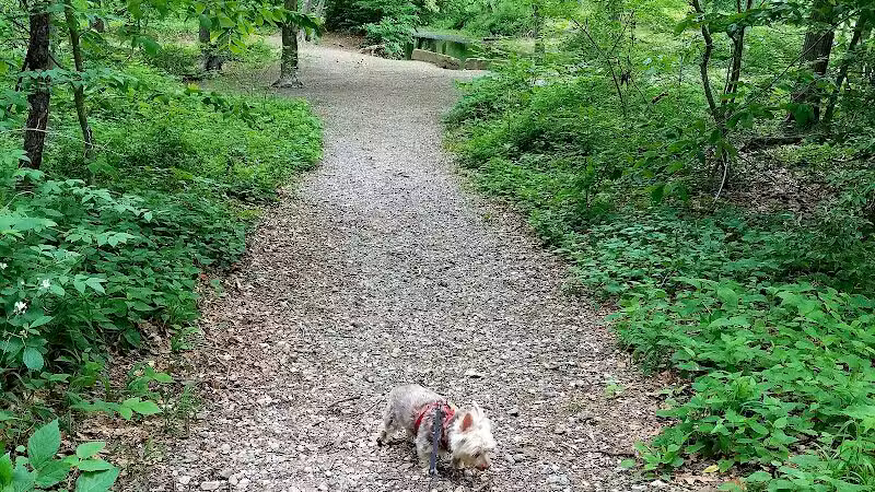 Eisenhower Dog Park - Milford, CT