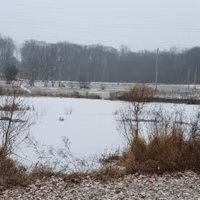 Eisenhower Dog Park - Milford, CT