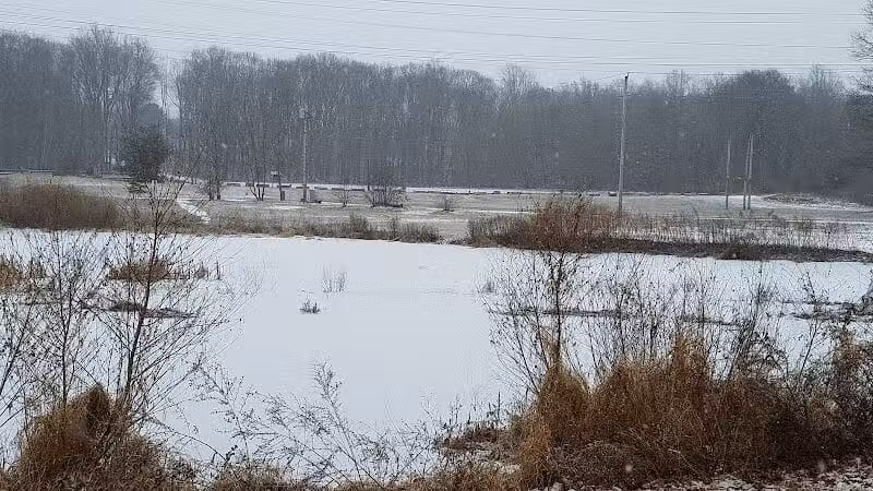 Eisenhower Dog Park - Milford, CT
