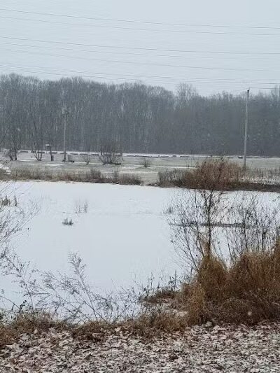 Eisenhower Dog Park - Milford, CT